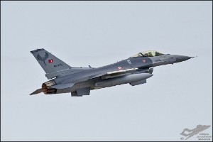 D7T_4553